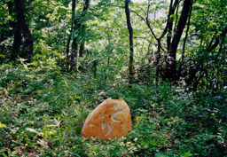 �L�c����